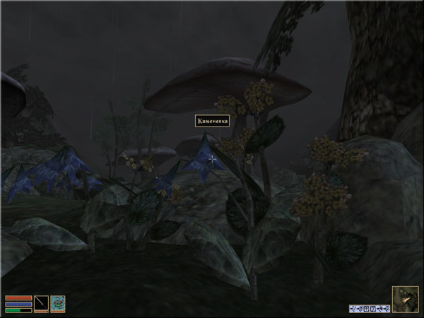 Morrowind